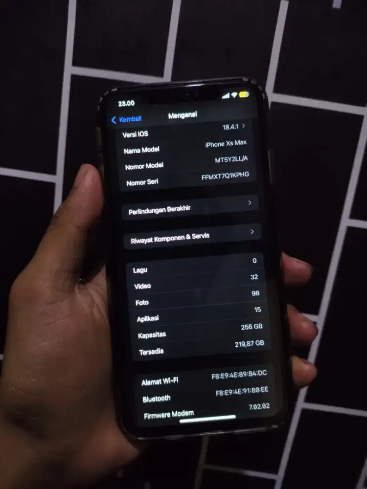 Ip xs max 256 gb inter