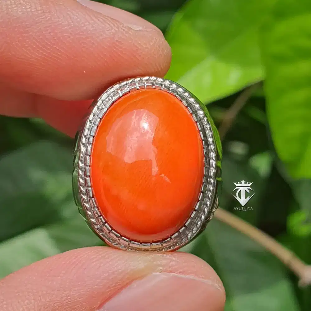 Batu Natural SUPER RED CORAL Marjan No Treatment 18.80 Ct Certified