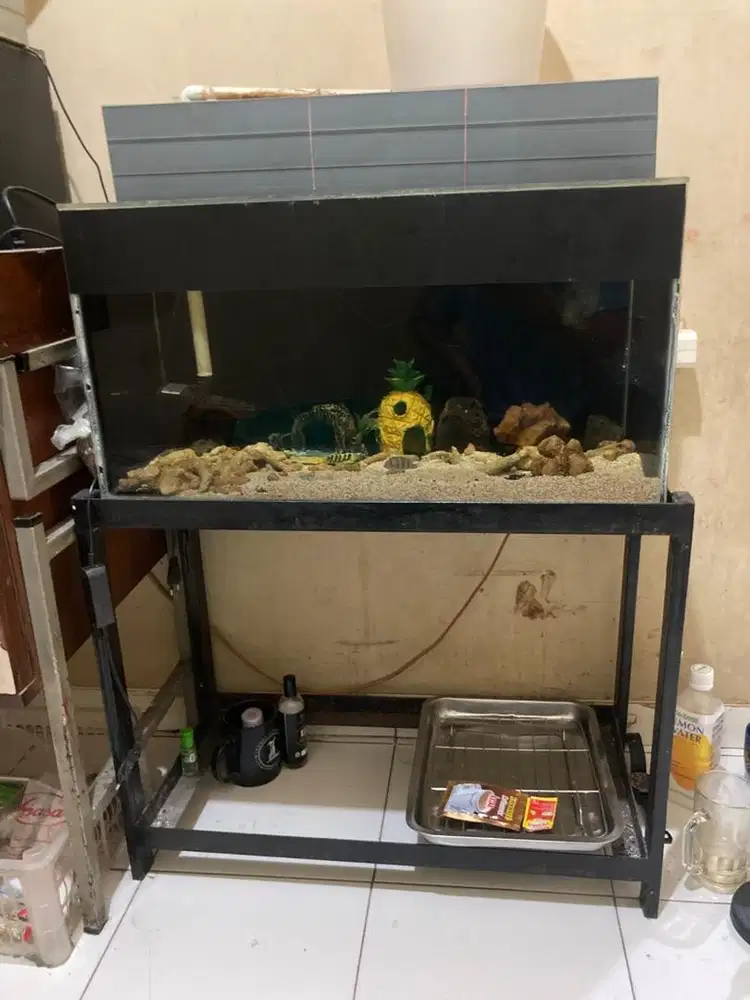 Aquarium 60x30x30 dan rak besi 2 susun