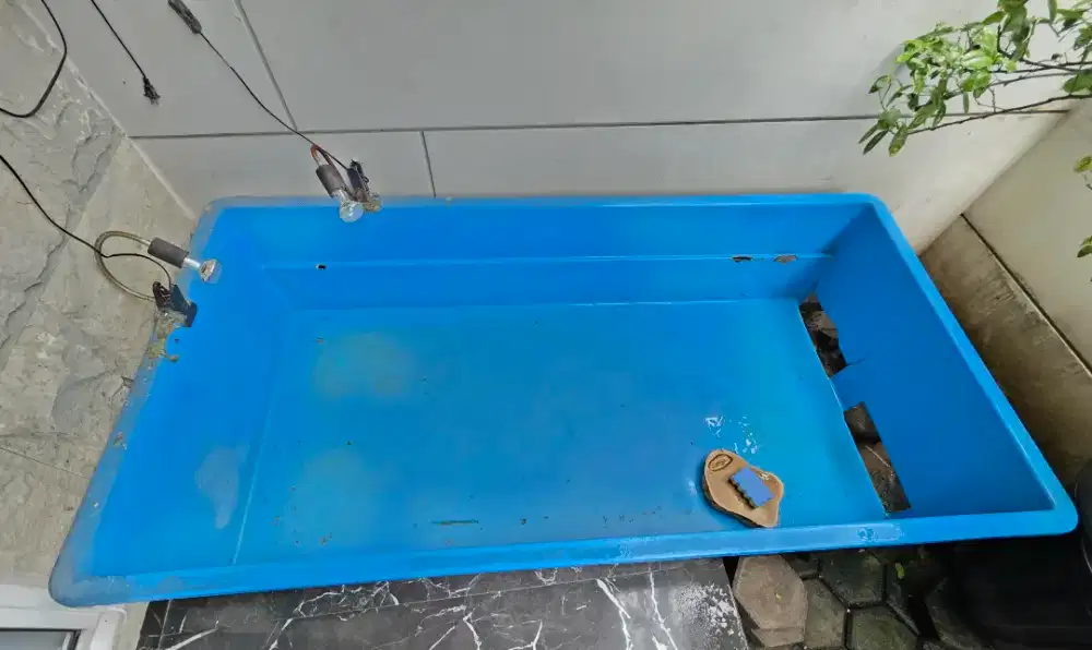 bak kura kura second