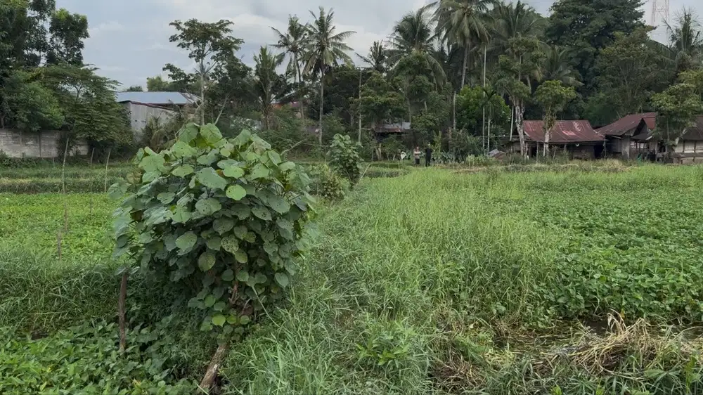 Tanah Karombasan dekat Stadion Klabat