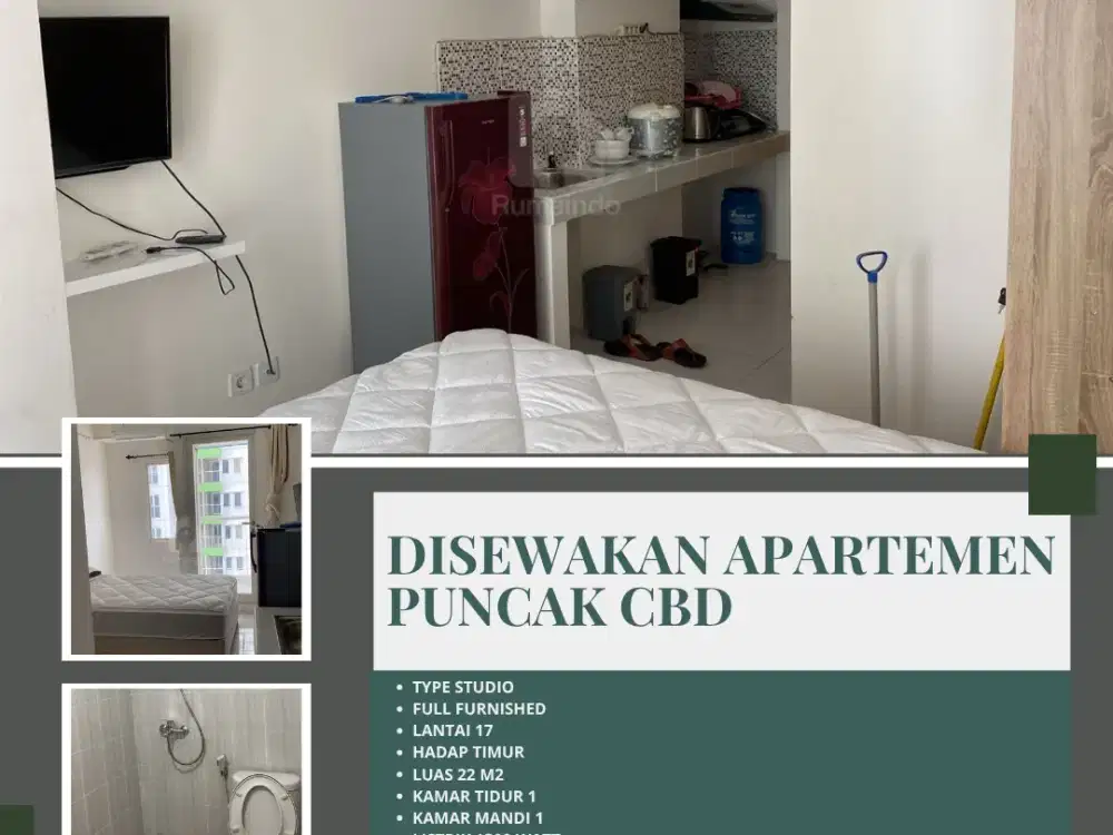 DISEWAKAN APARTEMEN PUNCAK CBD