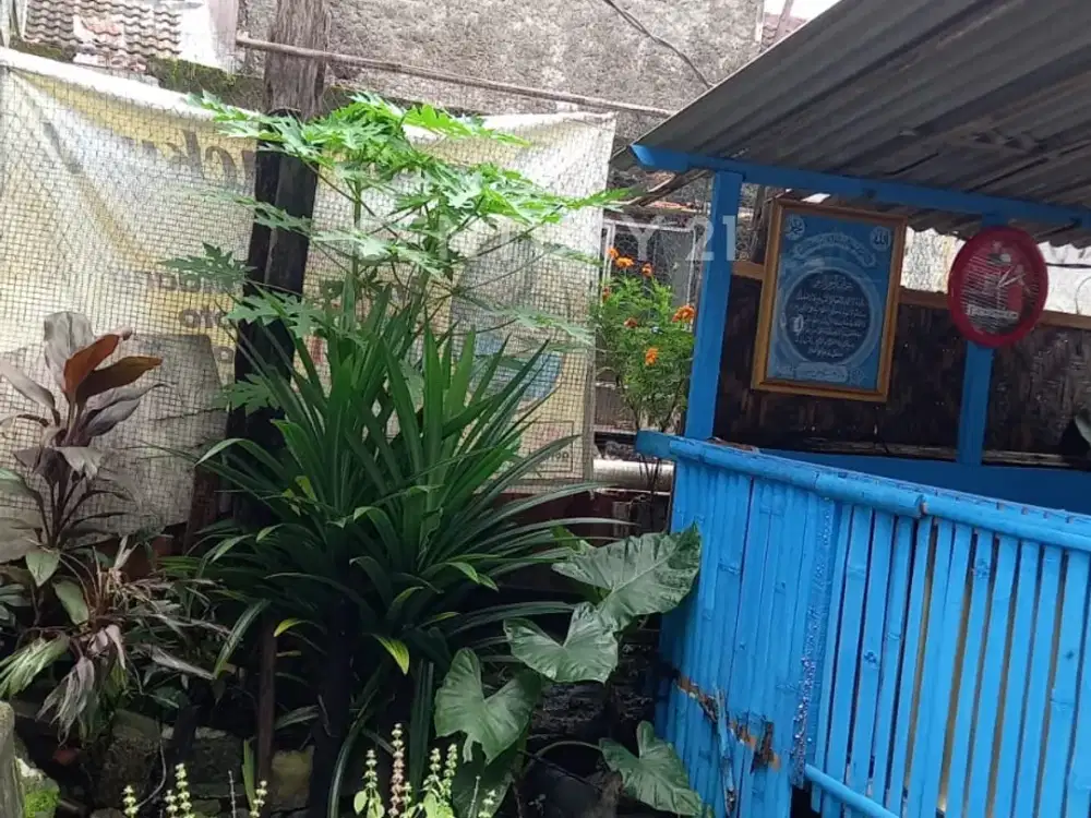 JUAL TANAH DI PERUM CIOMAS PERMAI  BOGOR