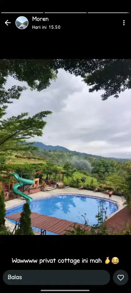 Dicari Driver Pribadi URGENT