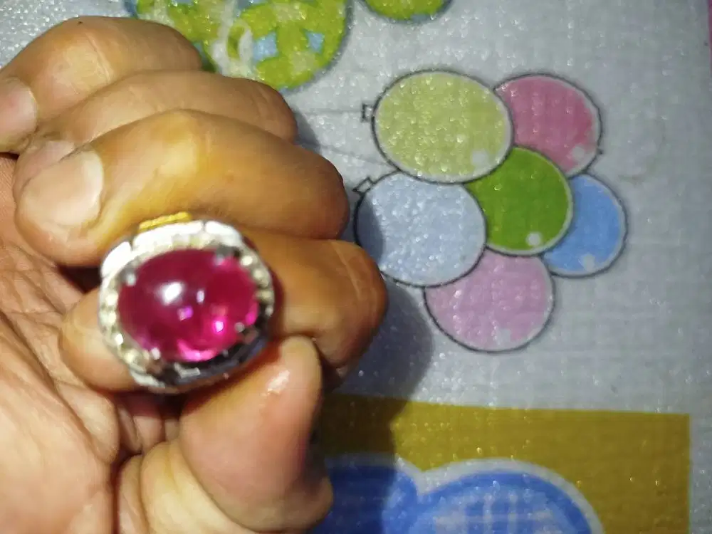 Rubby koleksi bogor kabupaten