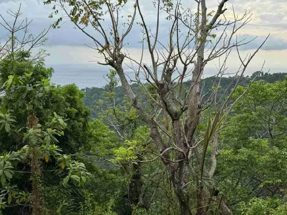 Tanah ocean View Batu Layar Lombok