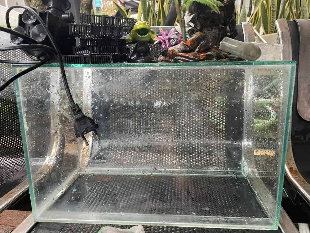 Dijual aquarium beserta teman2nya