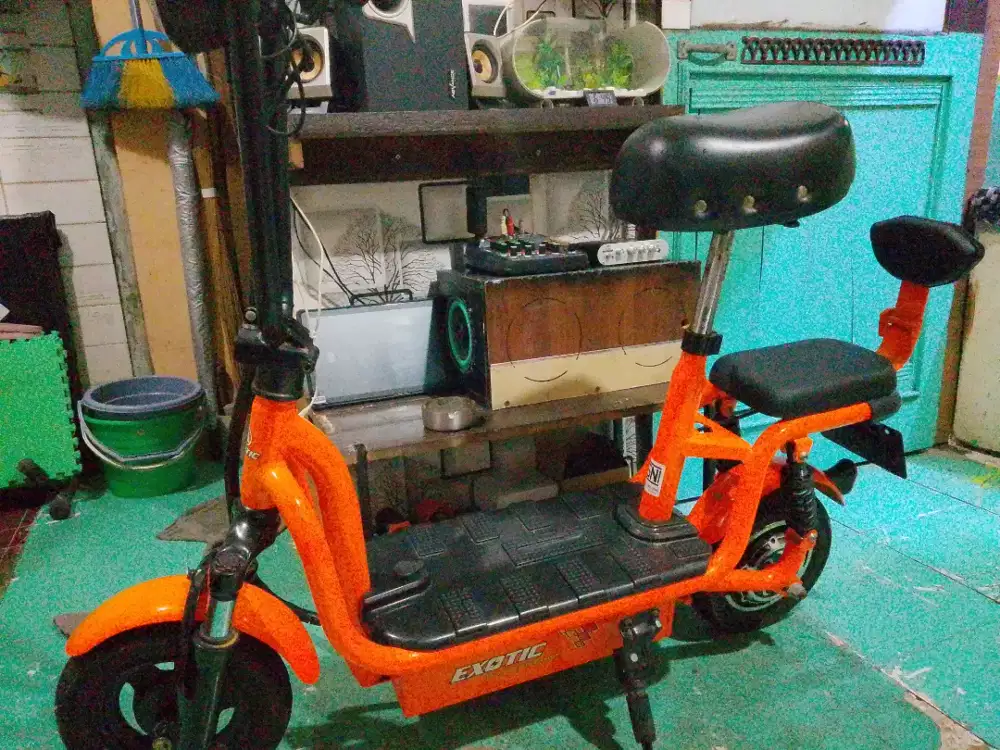 Sepeda listrik merk exotik