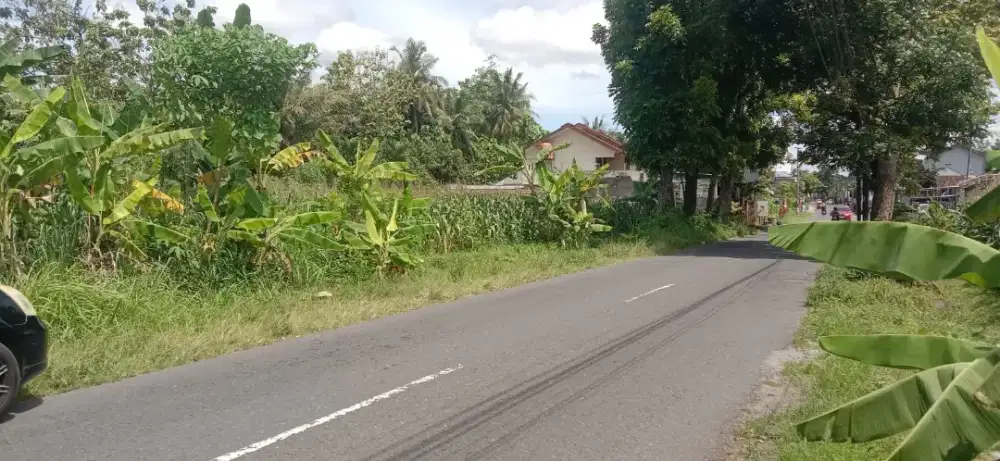 Djual Tanah Sawah Cocok Bwt Tempat Usaha Di Jalan  Turi Sleman KM 1