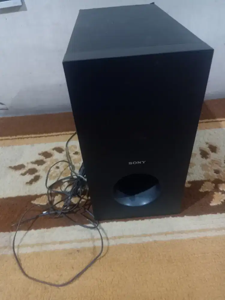 Speaker Subwoofer Sony SS-WS101