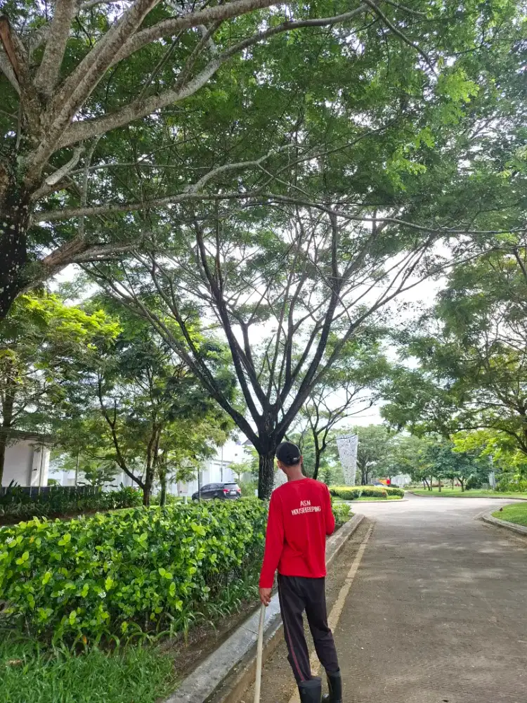 Housekeeping (Jasa Perawatan Taman)