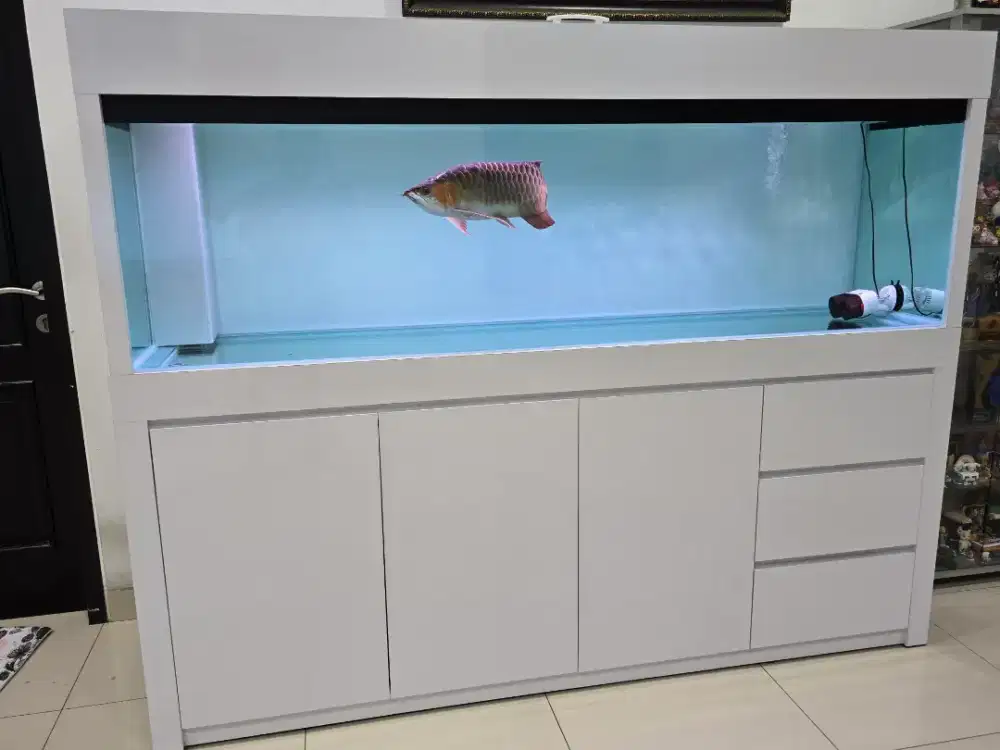 Aquarium kabinet uk 200cm x 60cm x 60cm
