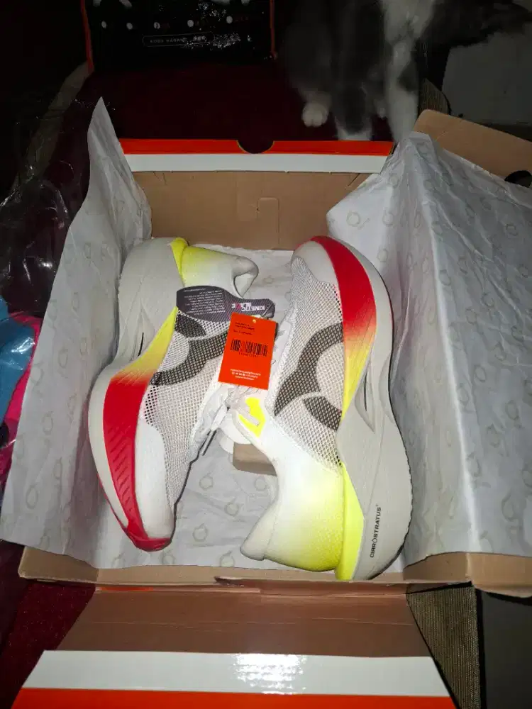 Sepatu running ortuseight solar 1.1