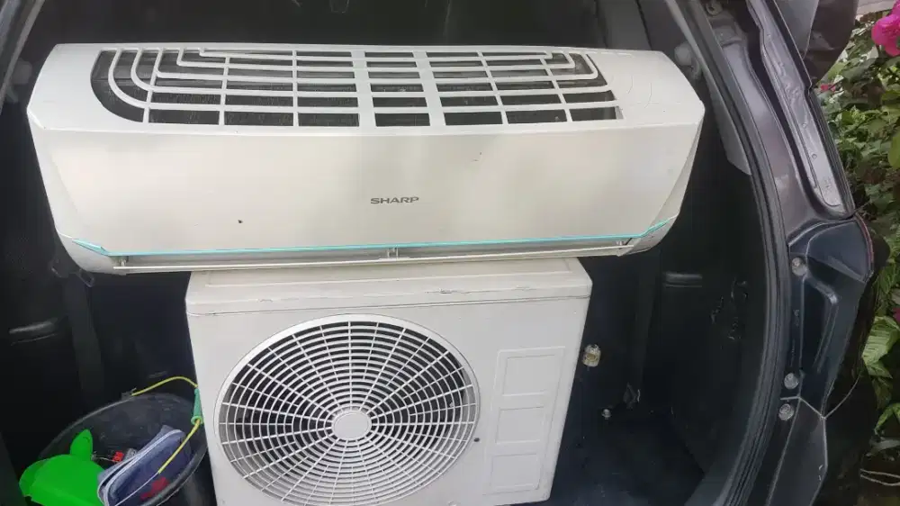 Ac sharp thailand 1/2 pk