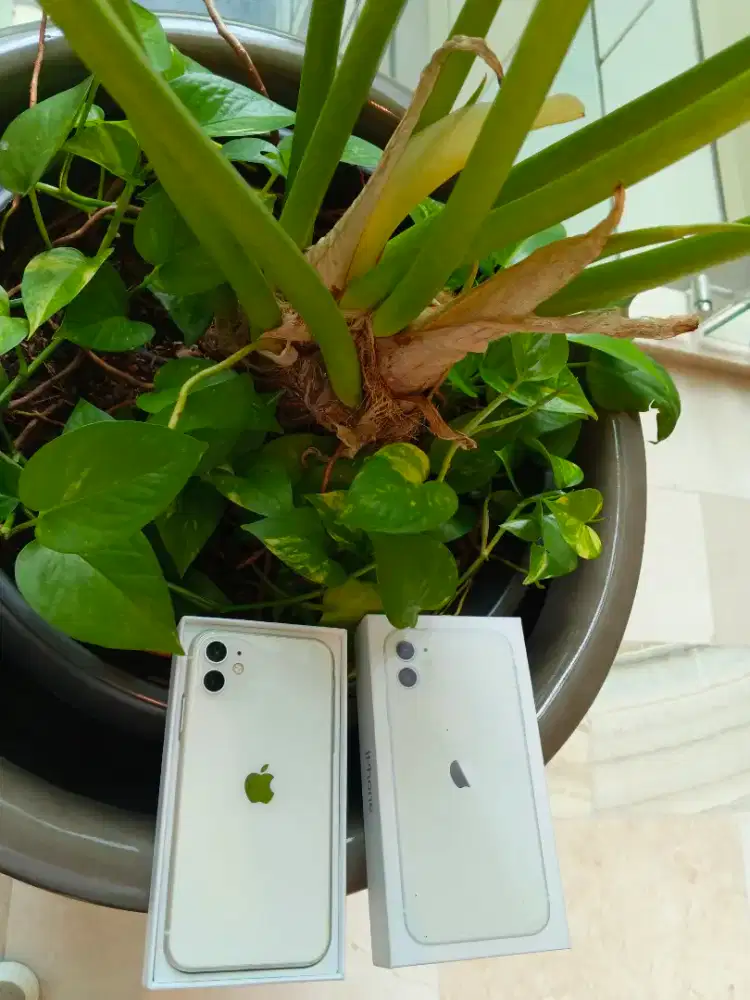 iphone 11 128gb bebas