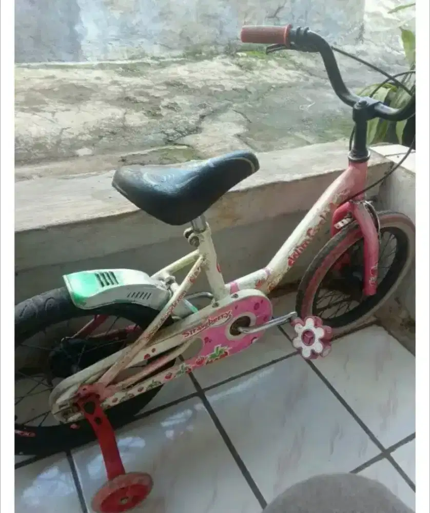 Sepeda anak wymcycle