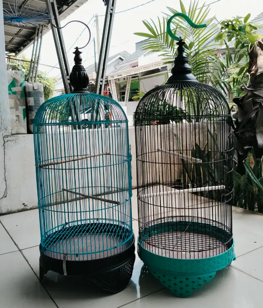 Kandank LovBet (FullSet)