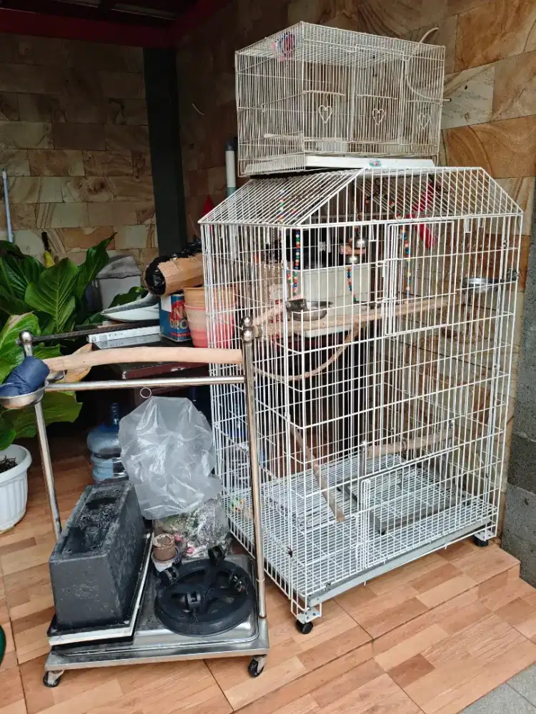 Kandang burung dan kucing serbaguna mulus