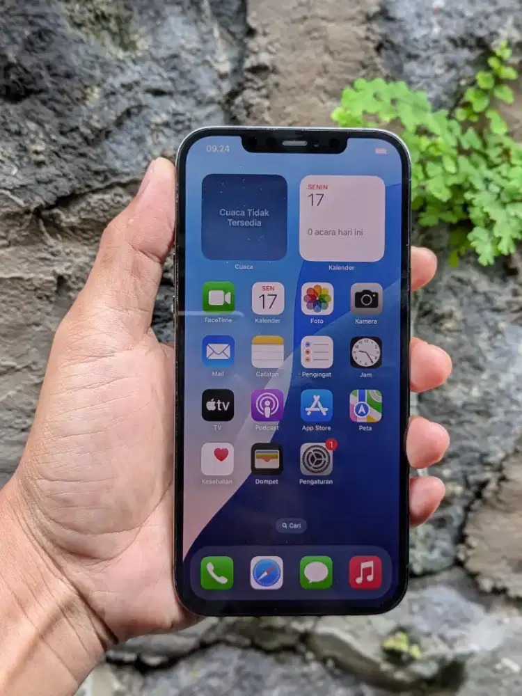 IPHONE 12 PRO MAX 256GB IMEI AMAN