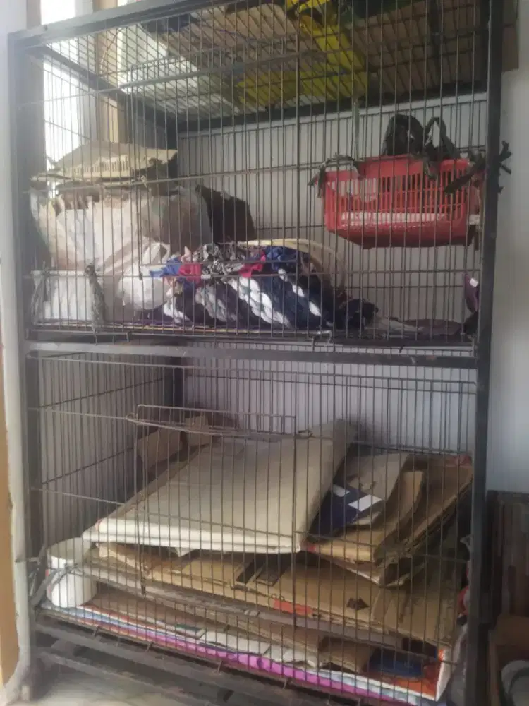 Kandang kucing besi tingkat 2 kokoh