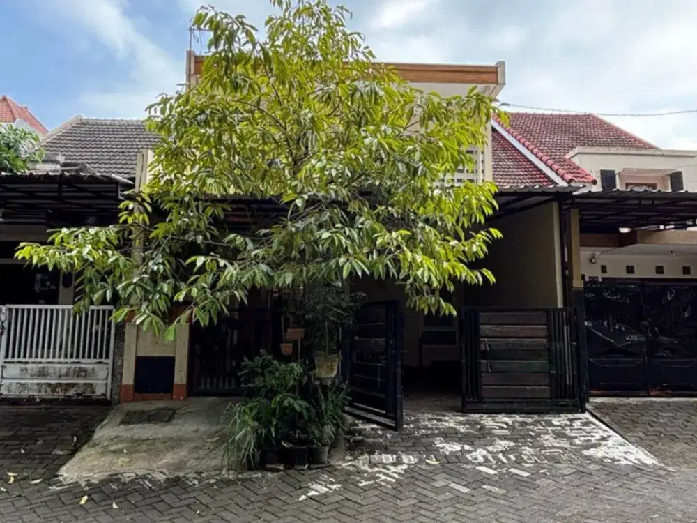 Rumah Homey Vibe di Blok Depan PBI Araya Blimbing Malang
