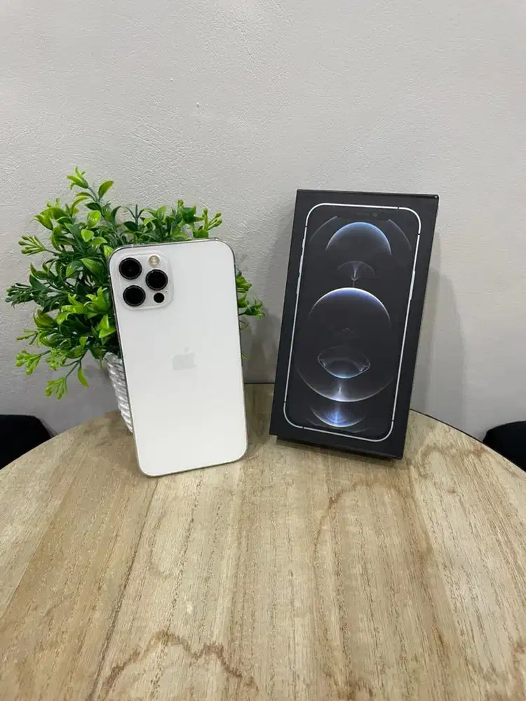 IPhone 12 Pro 128GB Silver mulus Fullset BH 100% 3Utool 100 Permanent