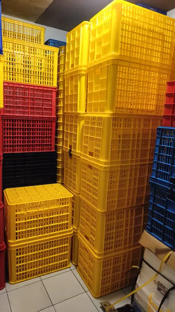 Keranjang Plastik Rabbit 2008 baru