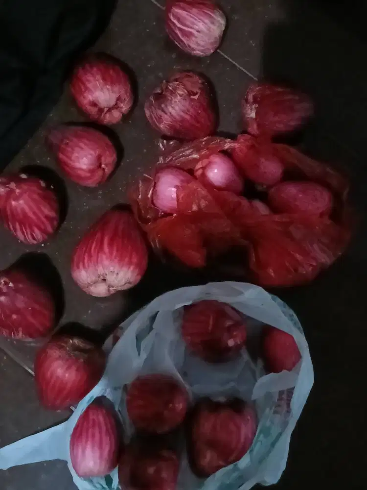 Cari kerja art pengalaman Jaga anak beres2 ex Singapore