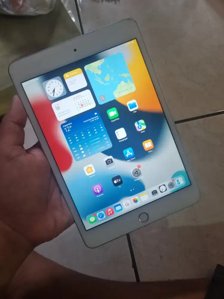 Ipad Mini 4 64 gb Wifi Only