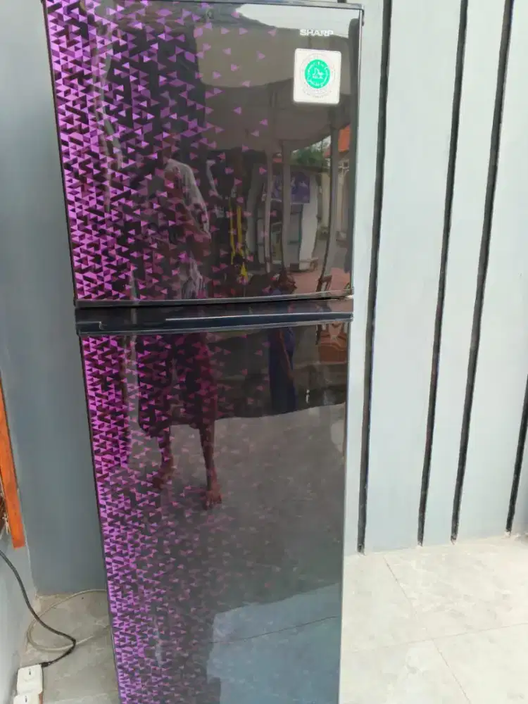 Kulkas Sharp 2 pintu