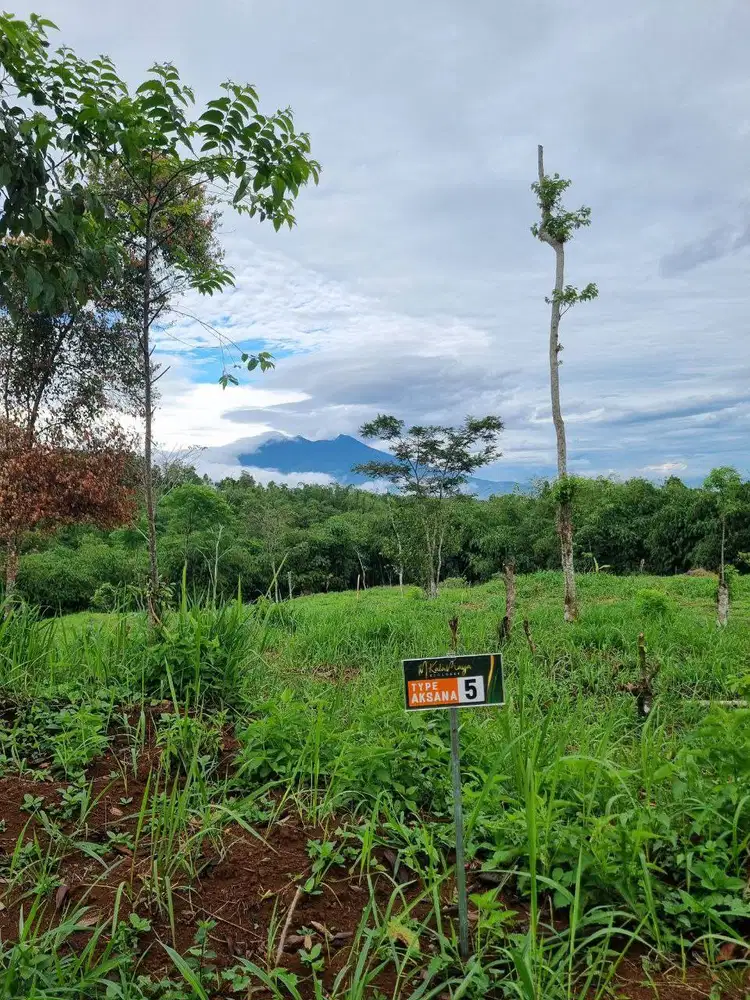 Jual Tanah Murah SHM di Ciawi Puncak Bogor