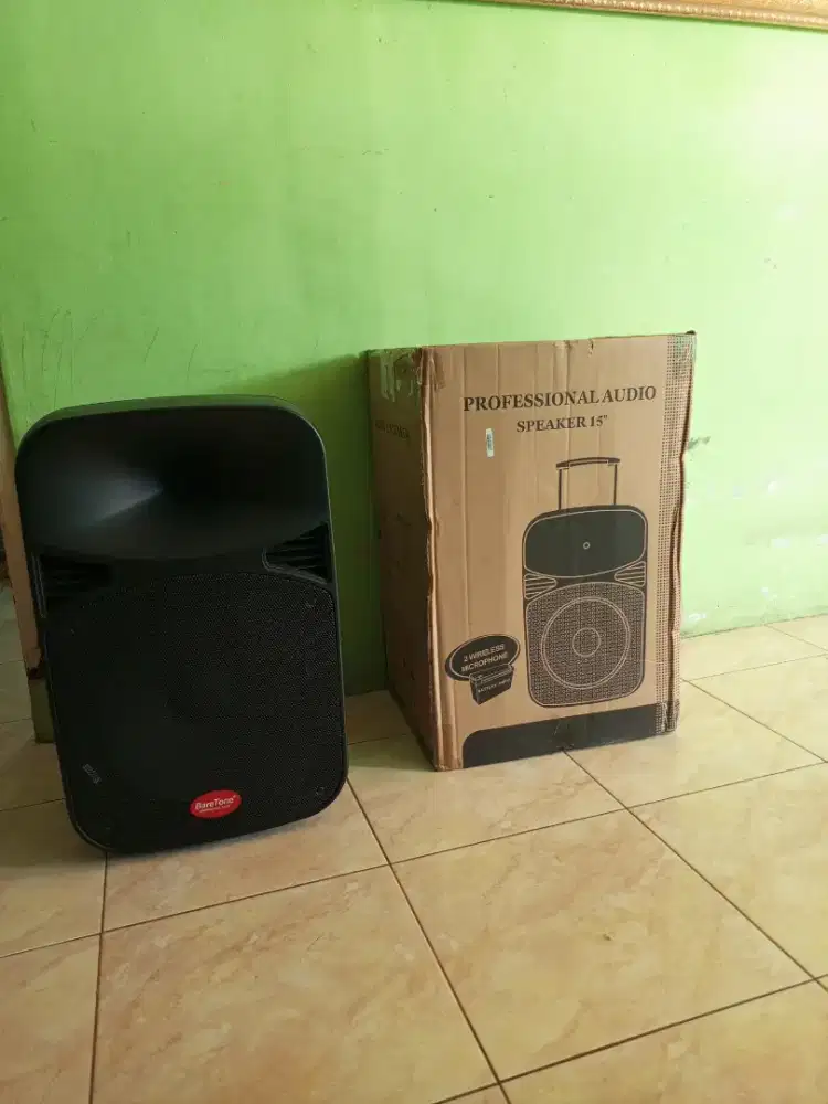 Speaker 15 inch