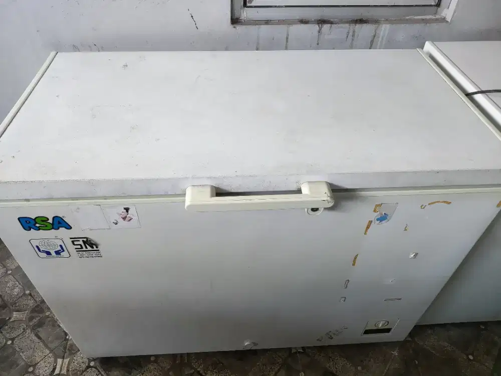 Freezer RSA 300L