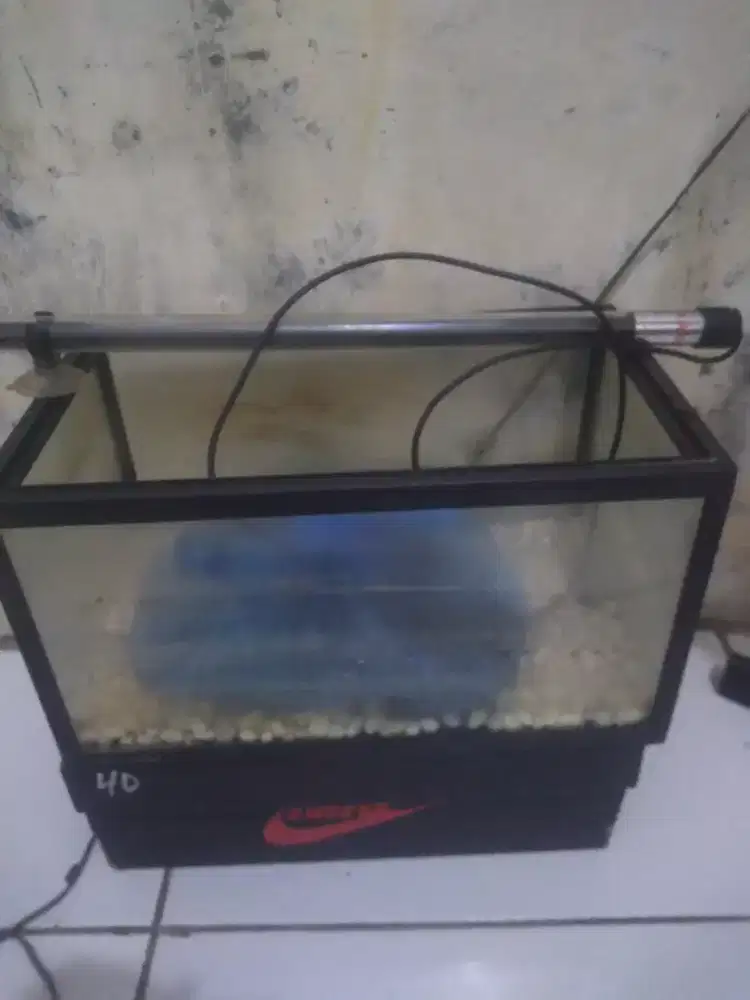 Aquarium 30x20 + Aerator + Lampu