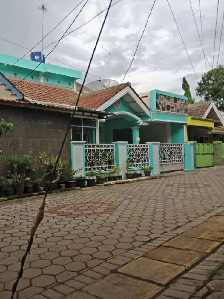 Sewa Rumah atau Jual (tanpa perantara)
