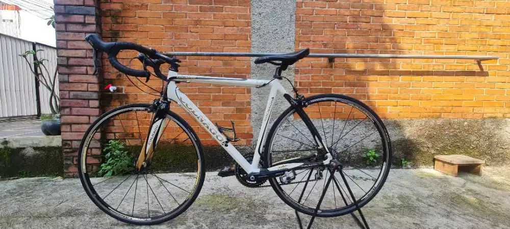 Roadbike Colnago Arte Tahun 2012