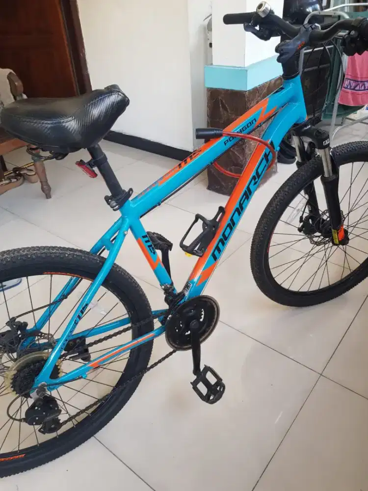 Sepeda Polygon Monarch M5