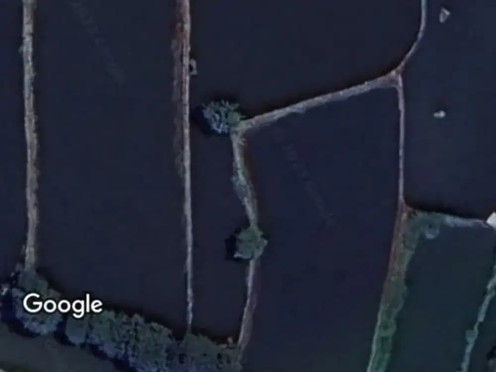 For sale Tanah Tambak Karangbinangun -Lamongan