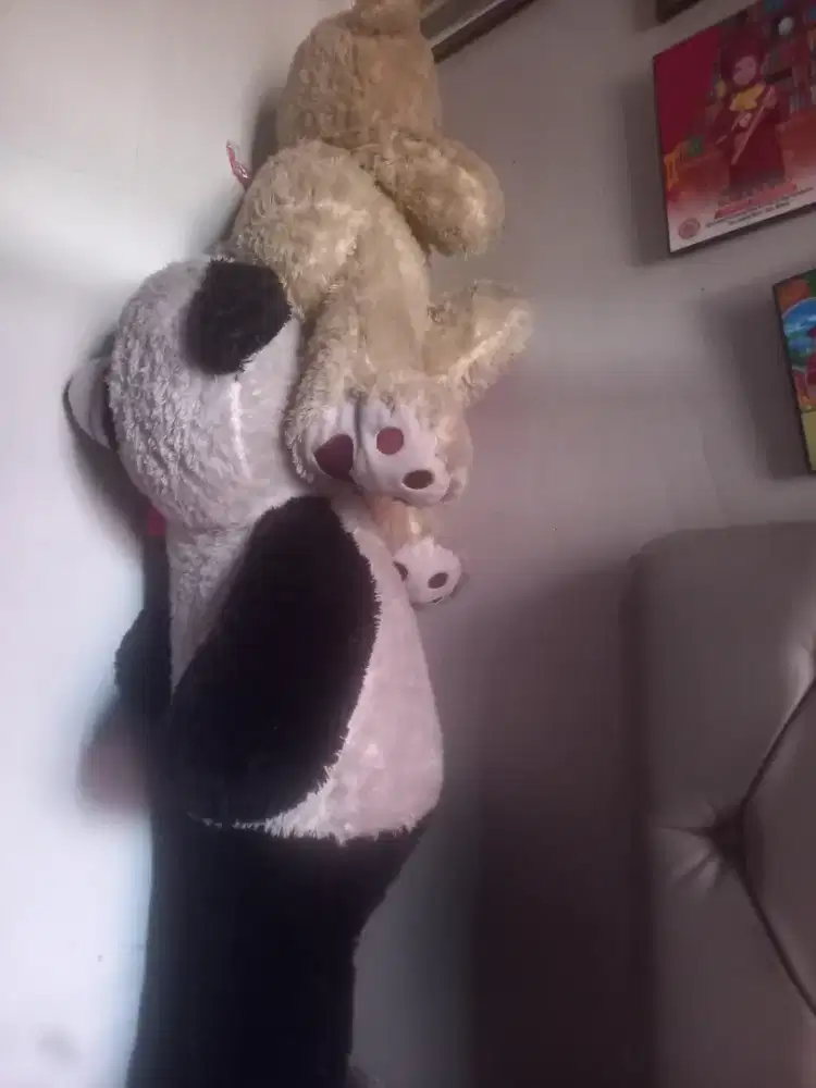 Boneka panda dan teddy