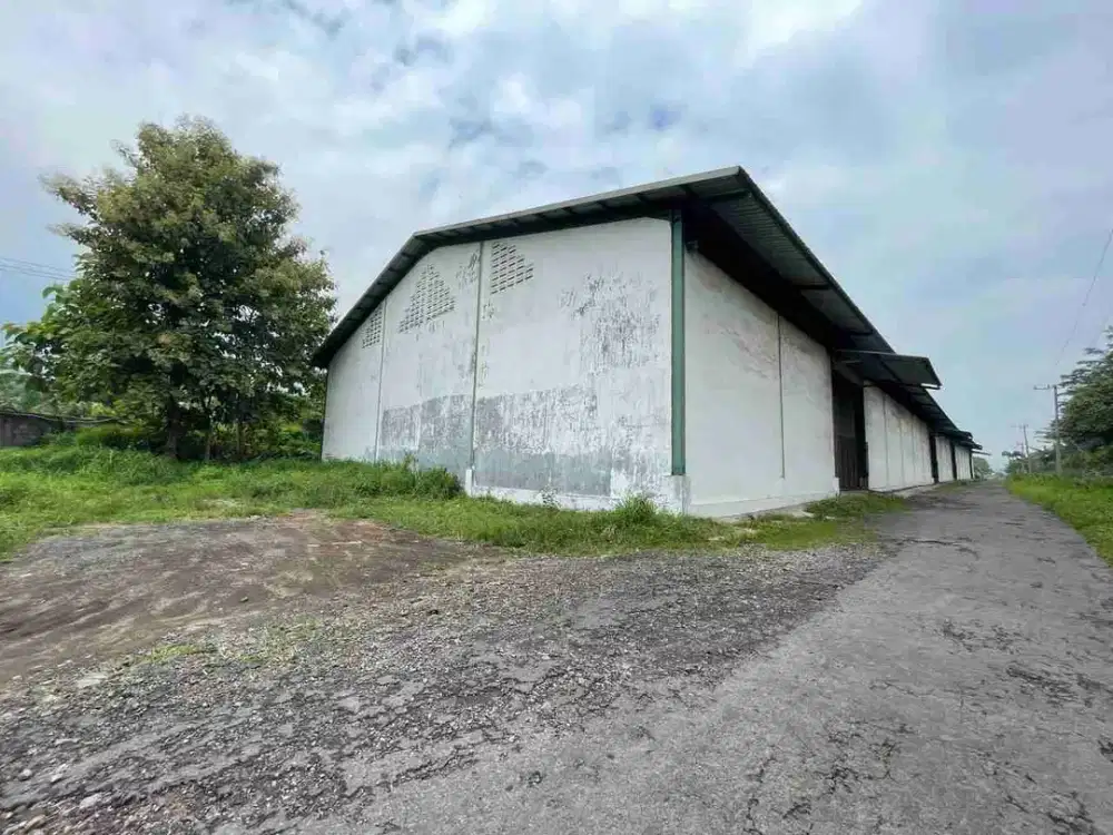 Gudang dan Tanah Ngoro Mojokerto Harga Nego