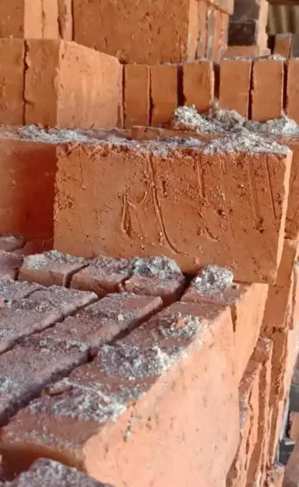 Batu bata merah pres