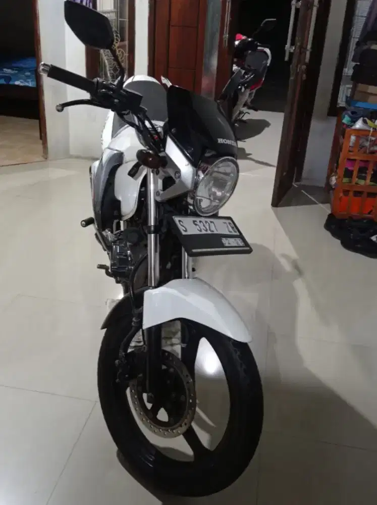 Honda Tirev Albino 2013