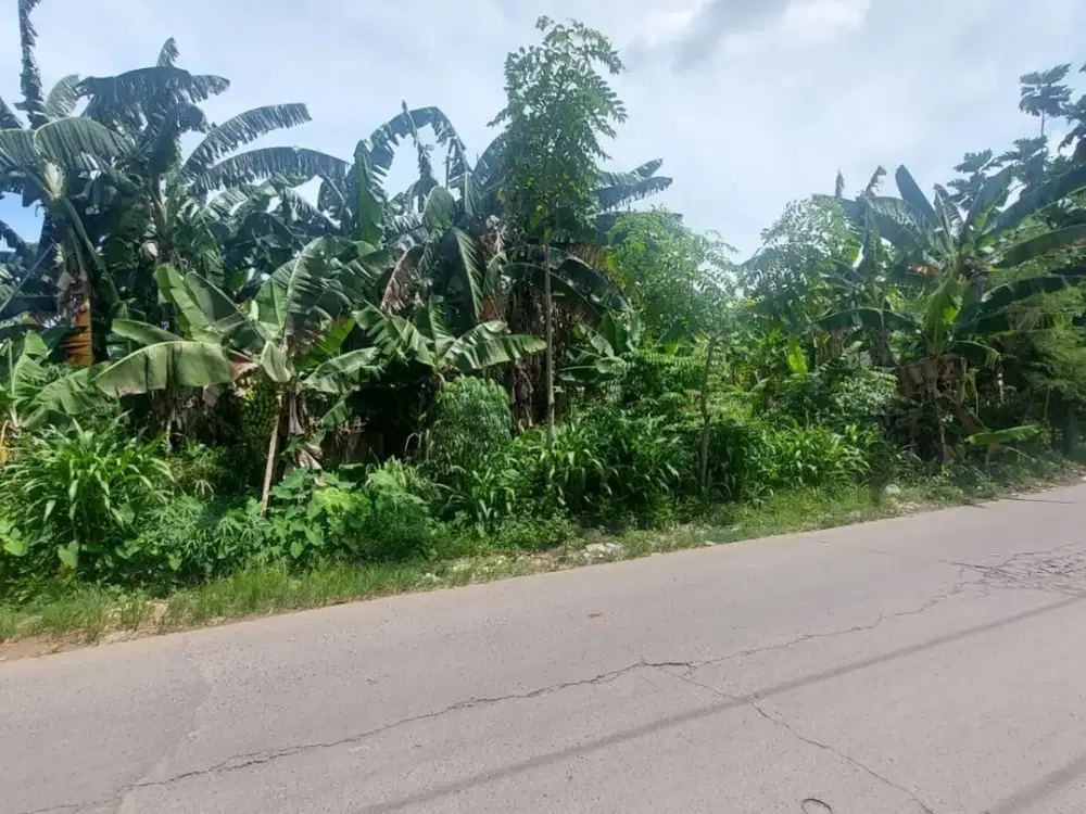 Dekat Living World Grand Wisata, Kavling SHM Tepi Jalan Bekasi Kota