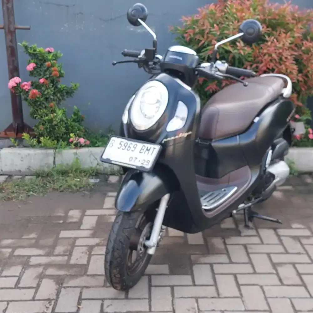 Honda scoppy keyles 2024 dp 500rb