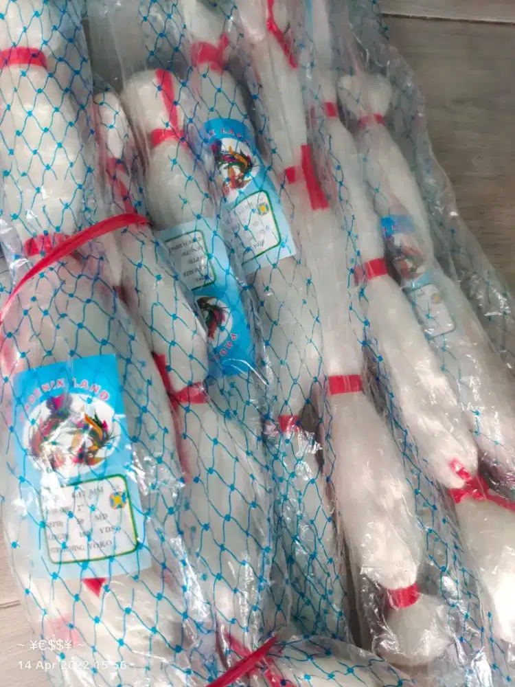 Jaring burung type YOKO tersedia berbagai ukuran