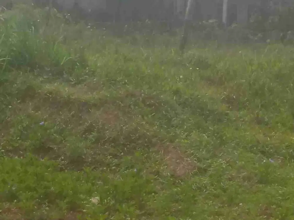 Tanah Murah 1200m2 Depan Gerbang Perum Dekat Stasiun Comuter Parung Panjang