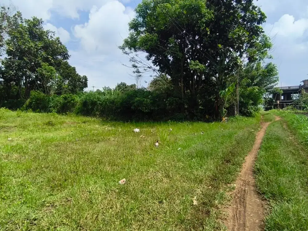 Tanah Dekat Kampus UIN 3 Malang Cocok untuk investasi dan hunian