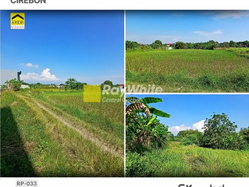 Disewakan/ Dijual Tanah Sawah di Kedungdawa, Kedawung Cirebon