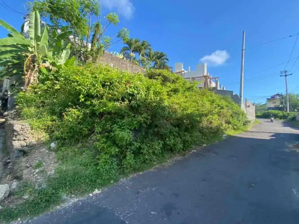 Tanah Jl Palapa Kampial