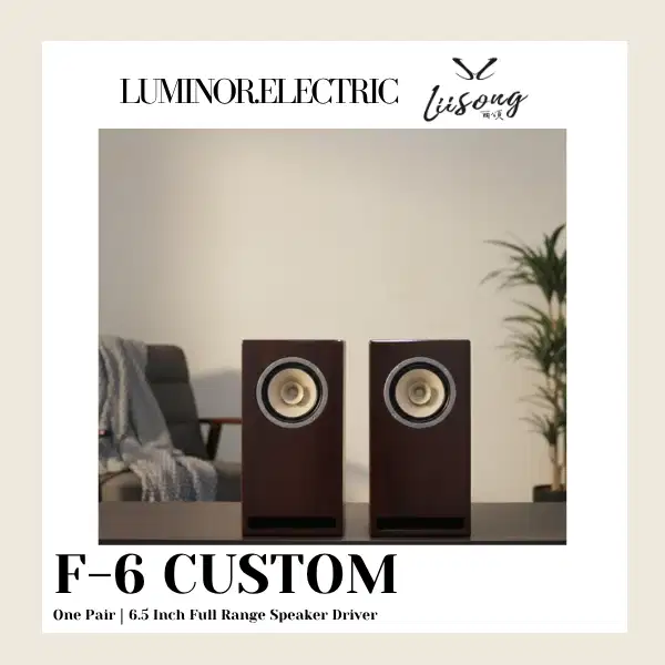 Lii Song Audio Speaker F6 Custom - 6.5 Inch Full Range Speaker Driver